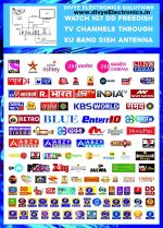 DD Freedish Free-to-air MPEG-4 Full HD Set-Top Box (Metal) - Image 2